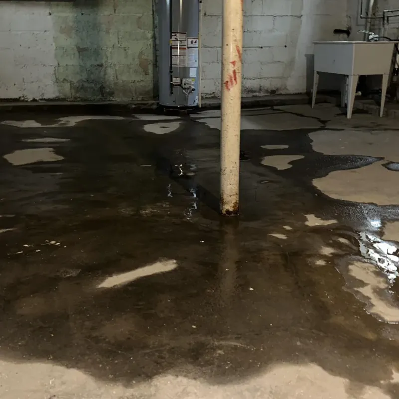 Emergency Water Extraction And Removal in Cambridge, IL